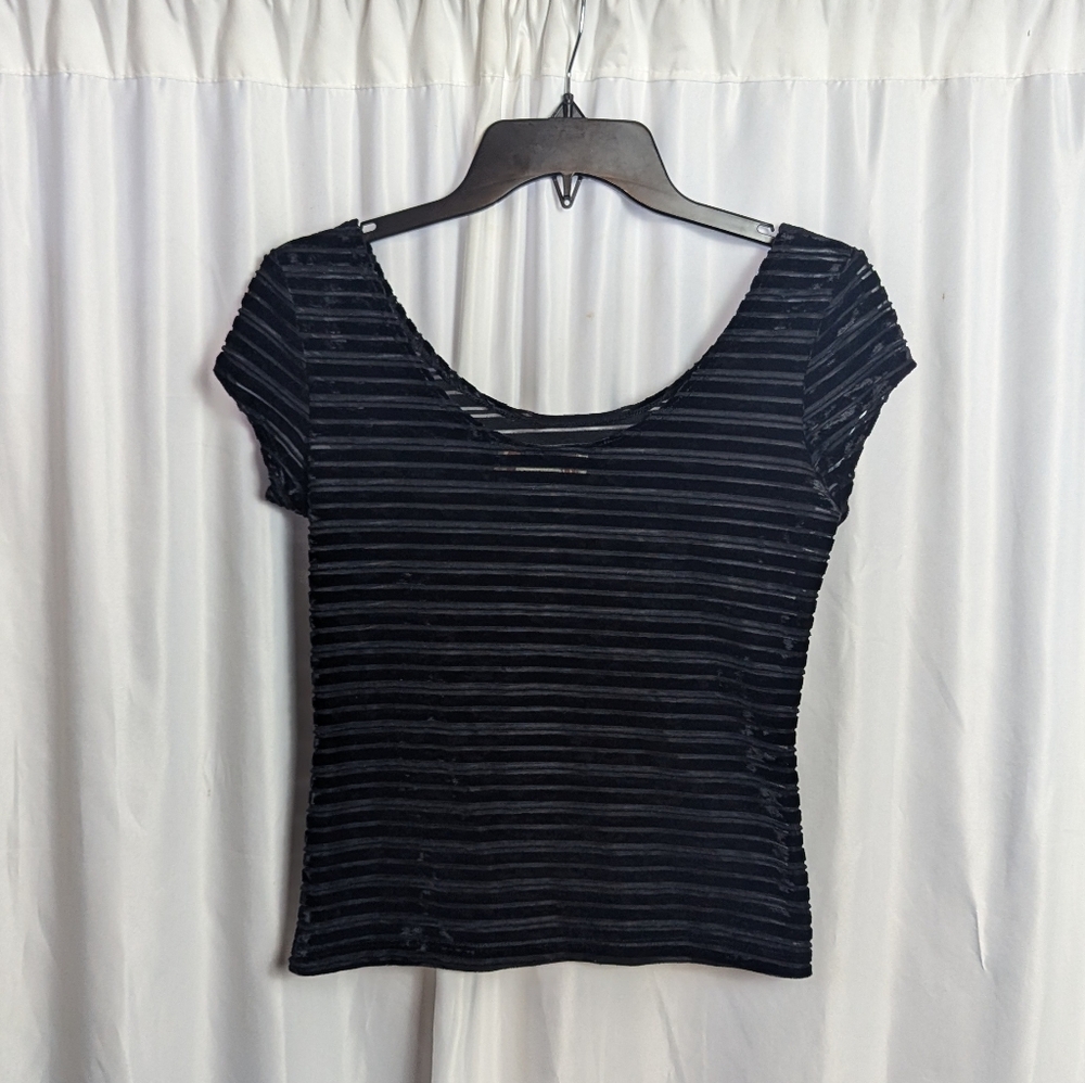 Vintage Velour And Sheer Striped Cropped Top